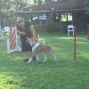 agility 2011-08